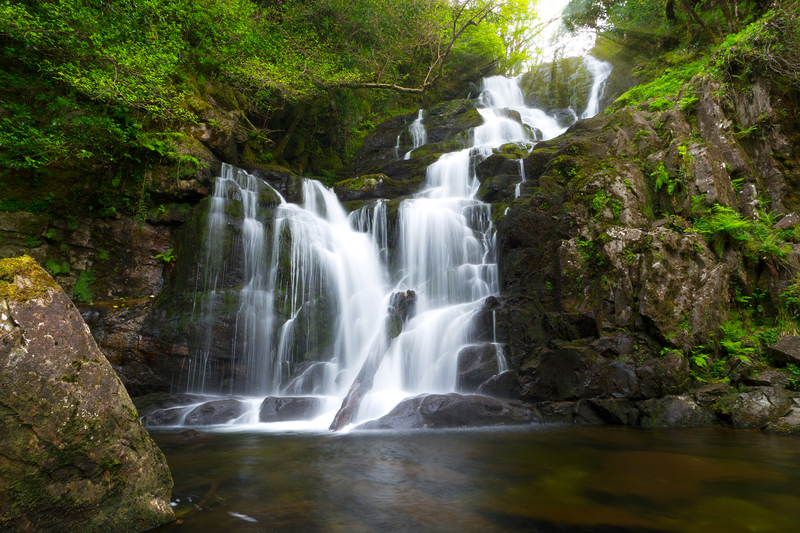 A cascading waterfall in lush green forest